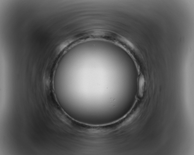 X0000086111065200703301232