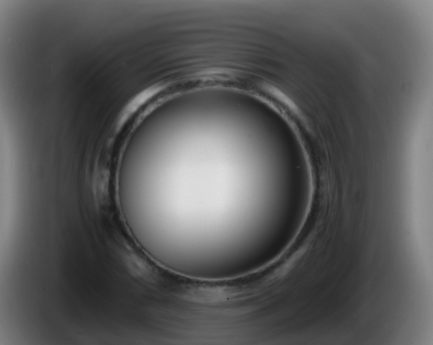 X0000086111066200703301232