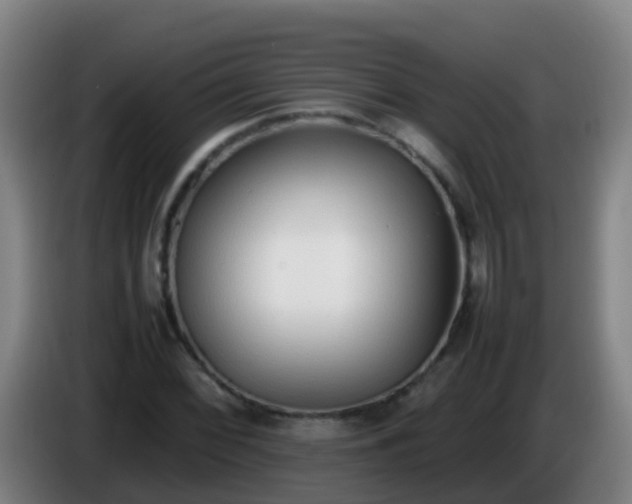 X0000086111068200703301232