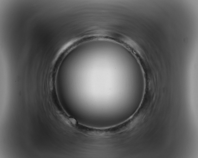 X0000086111069200703301232