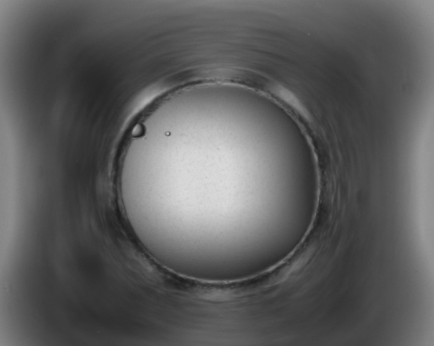 X0000086111071200703301232