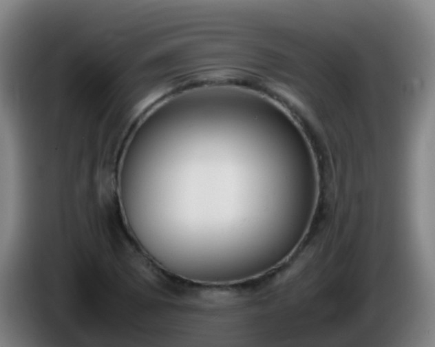 X0000086111073200703301232