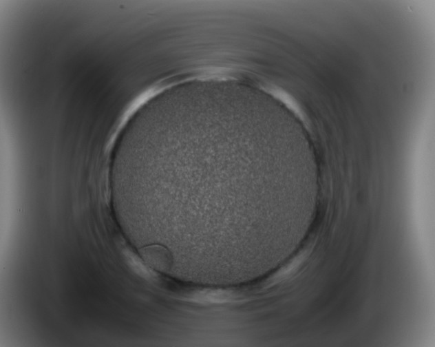 X0000086111075200703301232