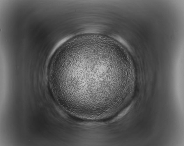 X0000086111077200703301232