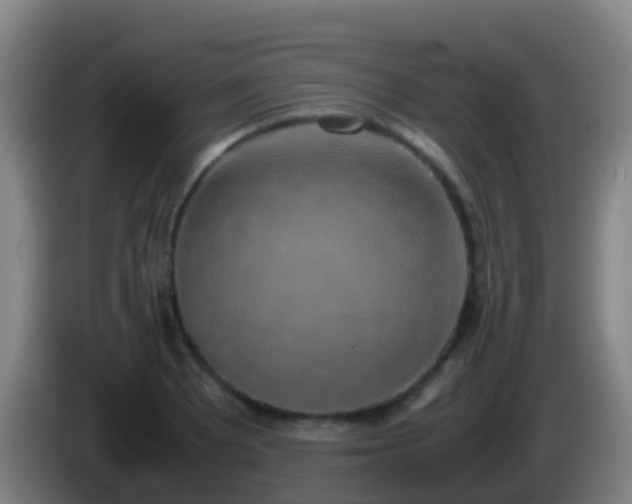 X0000086111081200703301231