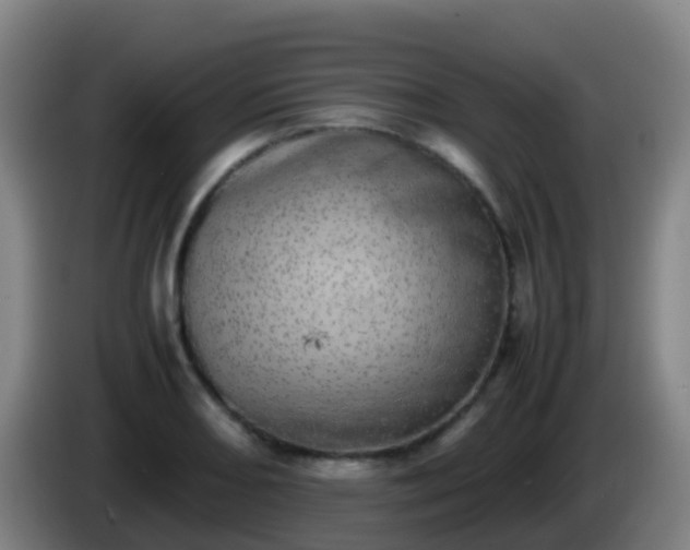 X0000086111082200703301231