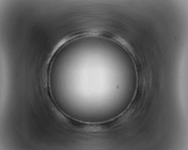 X0000086111083200703301231