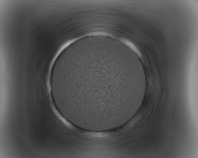 X0000086111084200703301231