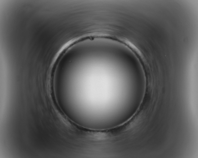 X0000086111085200703301231