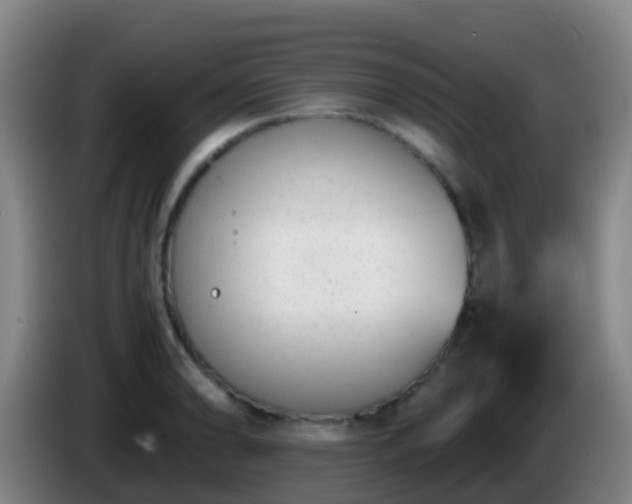 X0000086111086200703301231