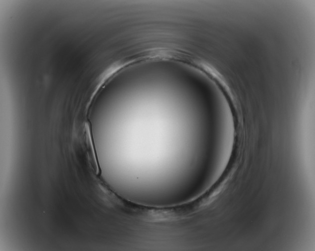 X0000086111089200703301231