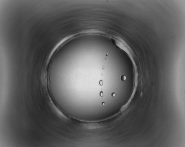 X0000086111092200703301231