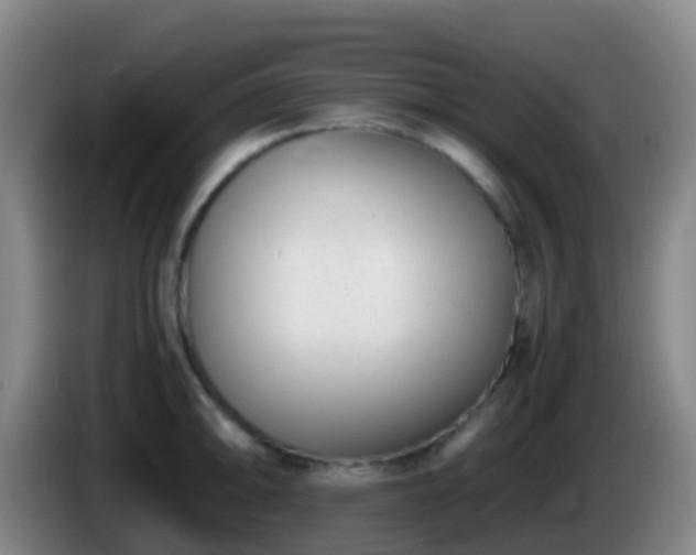 X0000086111094200703301231