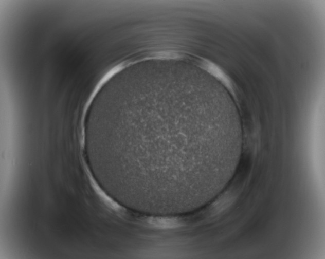 X0000086111095200703301231