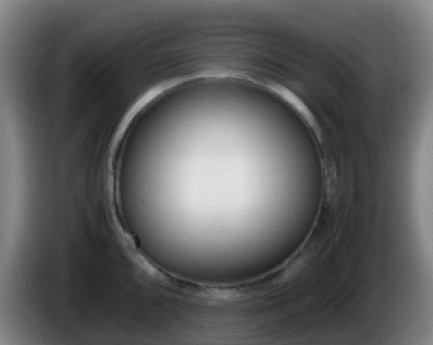 X0000086111096200703301231