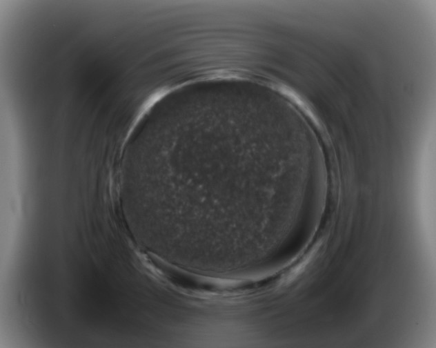 X0000086111097200703301231