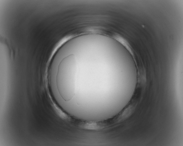 X0000086111098200703301231