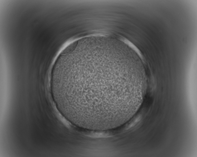 X0000086111099200703301231