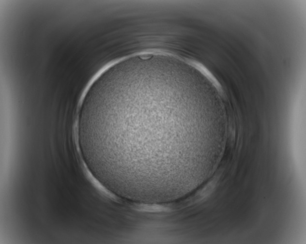 X0000086111100200703301231