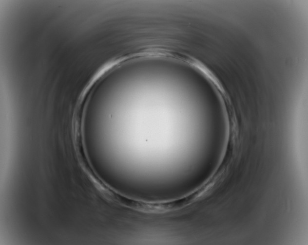 X0000086111101200703301231