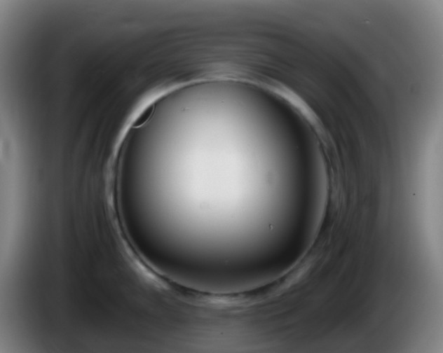 X0000086111102200703301231