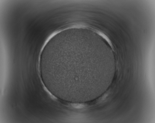 X0000086111103200703301231