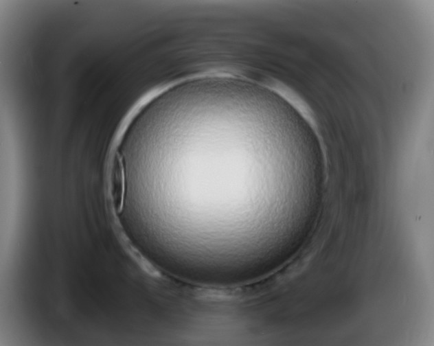 X0000086111104200703301231