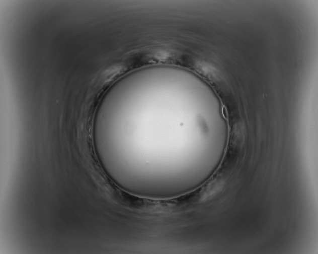 X0000086111105200703301230