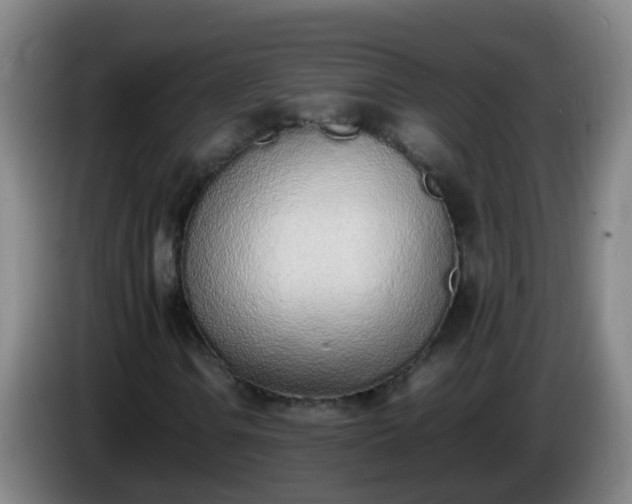 X0000086111106200703301231