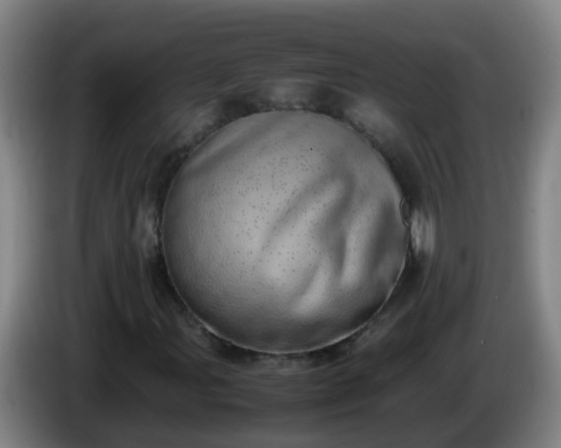 X0000086111107200703301231