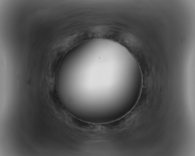 X0000086111109200703301231