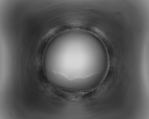 X0000086111110200703301231