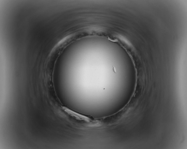 X0000086111112200703301231