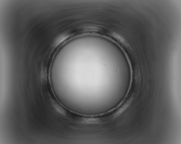 X0000086111113200703301231