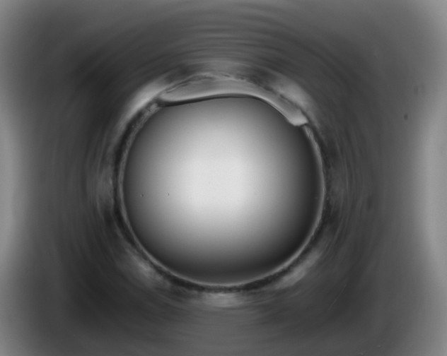 X0000086111114200703301231