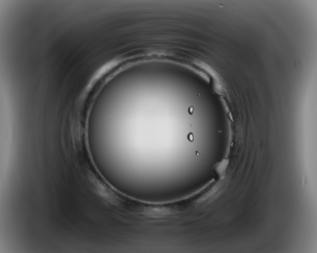 X0000086111115200703301231