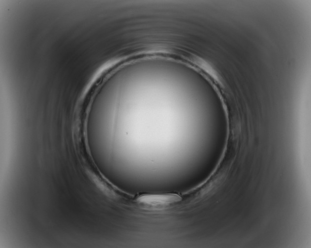 X0000086111116200703301231