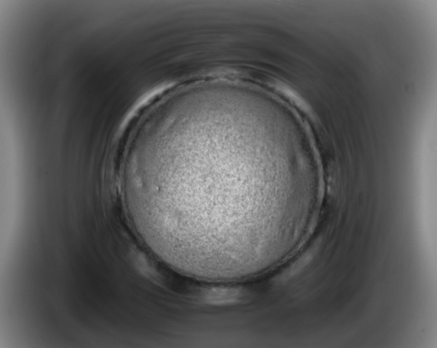 X0000086111117200703301231