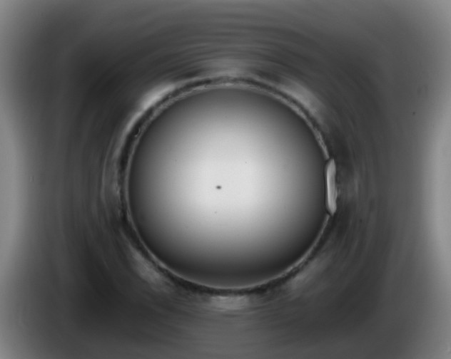 X0000086111118200703301231