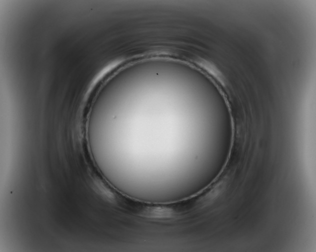 X0000086111119200703301231