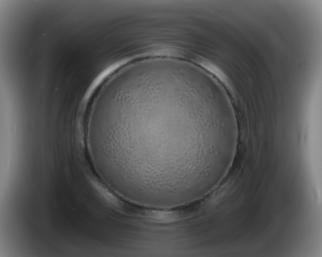 X0000086111120200703301231