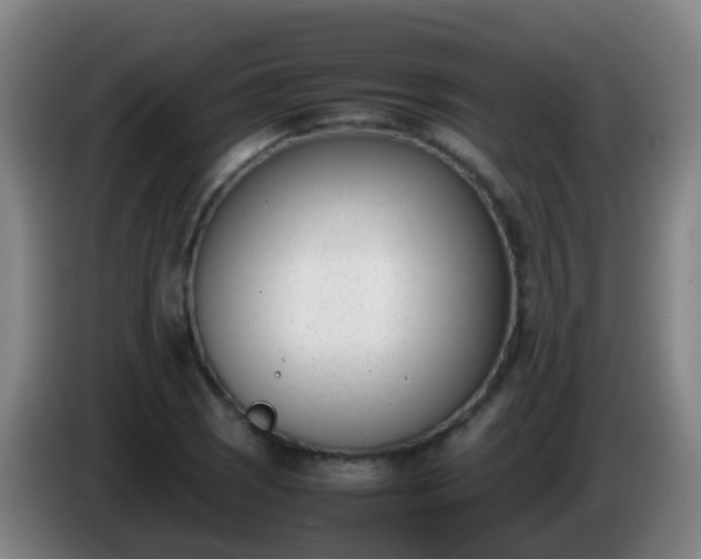 X0000086111121200703301231