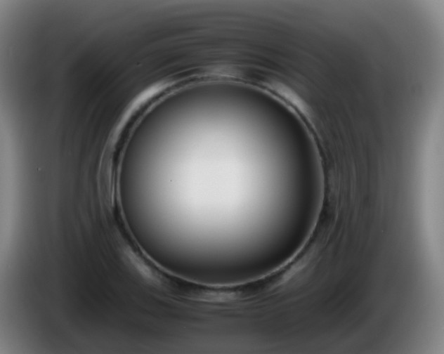 X0000086111123200703301231