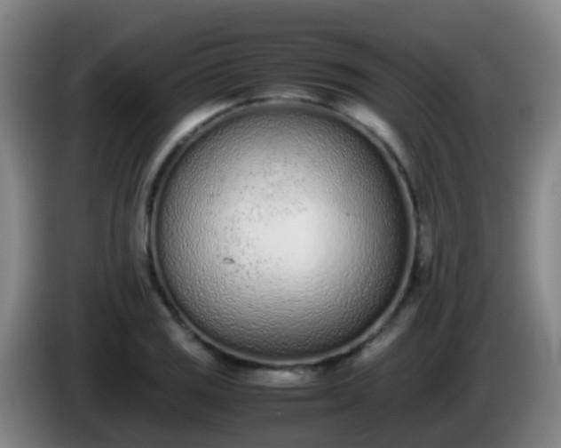 X0000086111125200703301231