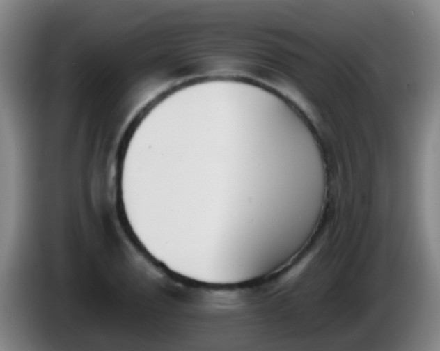 X0000086111126200703301231