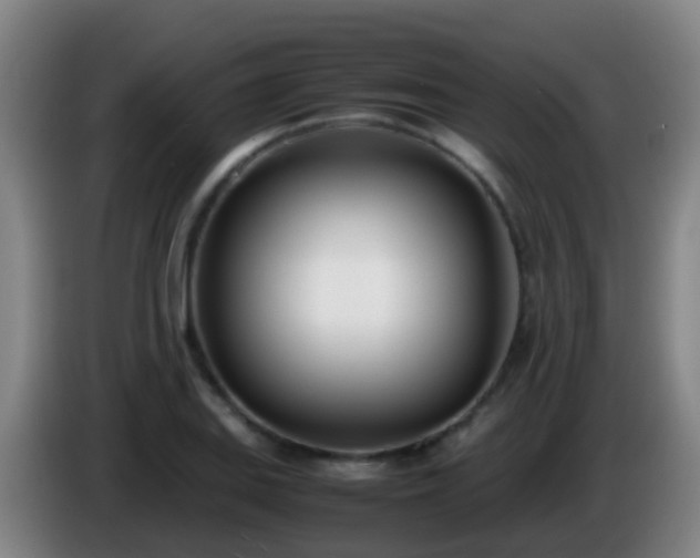 X0000086111127200703301231