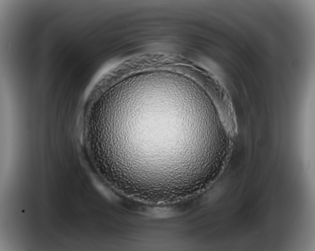 X0000086111128200703301231