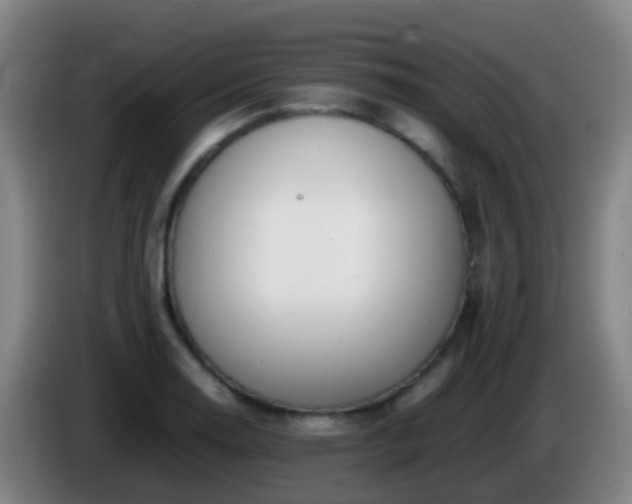 X0000086111130200703301231