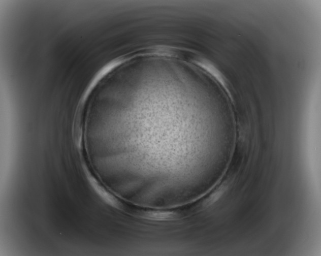 X0000086111131200703301231