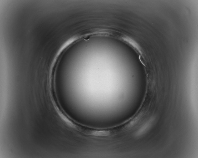 X0000086111135200703301231